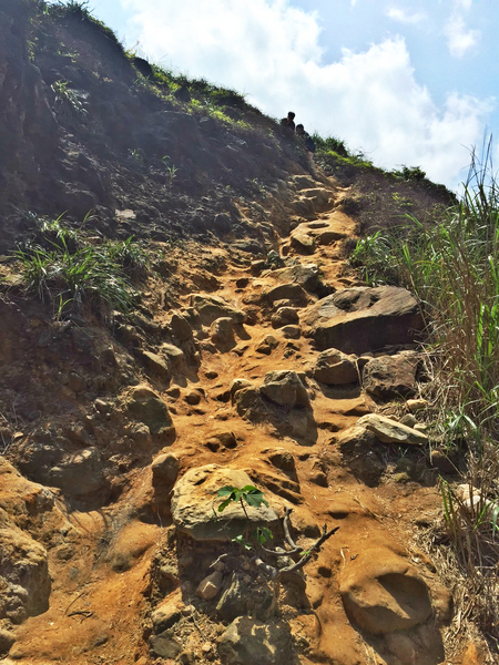 廢煙道：[新北\旅遊] IG熱門打卡景點 廢煙道 金瓜石十三層遺址 黃金瀑布 看見台灣的美