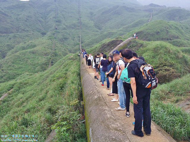 DSCN0788 (2000x1500)