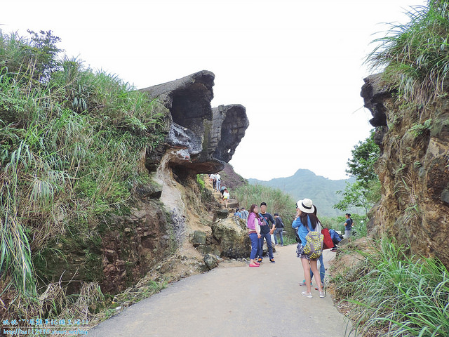 DSCN0783 (2000x1500)