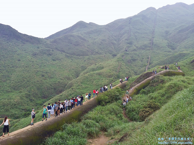 DSCN0787 (2000x1500)