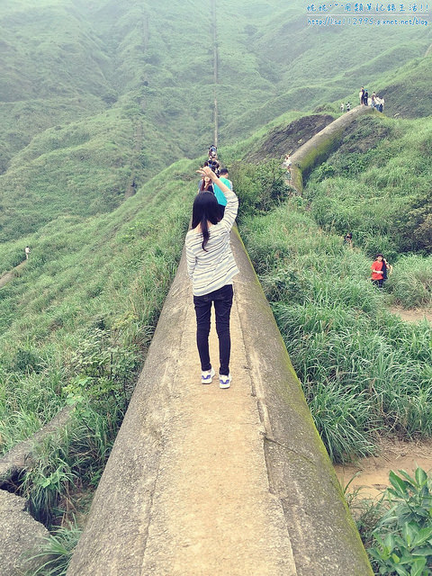 DSCN0800 (1108x1478)