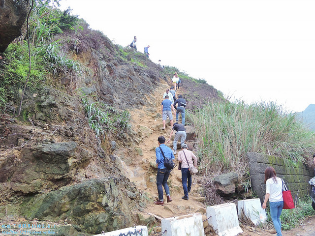 DSCN0784 (2000x1500)