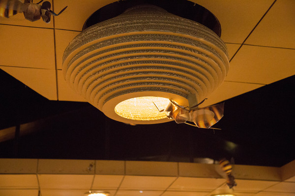 紙箱王創意園區(清境小瑞士花園)：[旅遊/食記/清境]創意紙餐廳 紙箱王創意園區(清境小瑞士花園店)