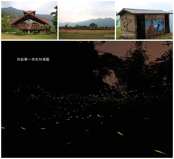 那瑪夏賞螢08.jpg
