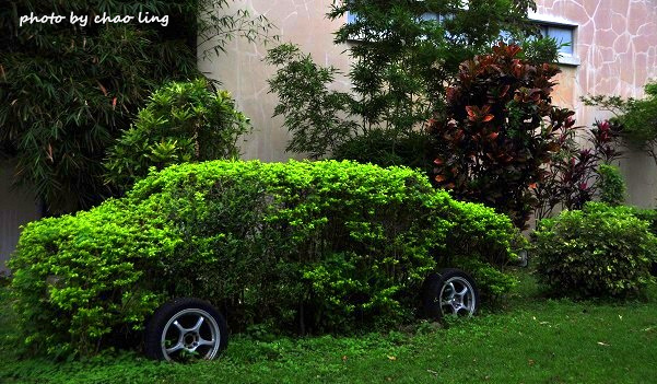 桃園農工-33.JPG - 2016春暖花開