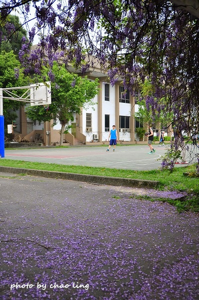 桃園農工-11.JPG - 2016春暖花開