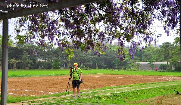 桃園農工-6.JPG - 2016春暖花開