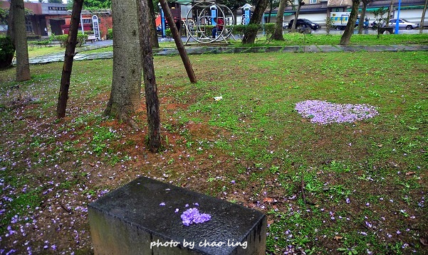 大湖公園-20.JPG - 2016春暖花開