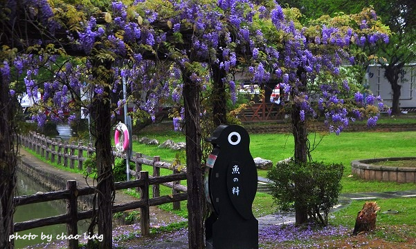 大湖公園-12.JPG - 2016春暖花開