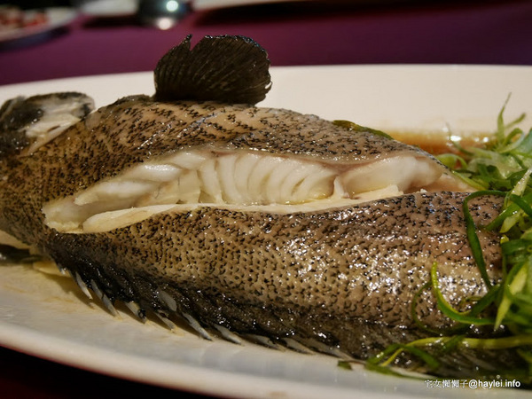 新北都會館:_新北都會館 新北必吃 捷運美食 特推港式點心真材實料的好味道 喜慶宴會時的大吉大利好選擇_