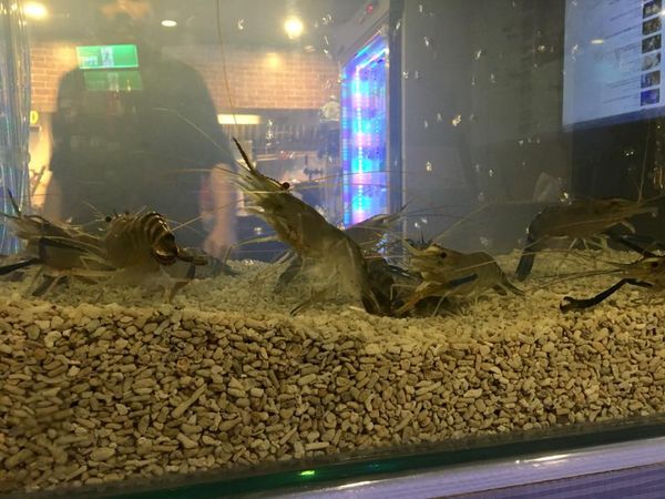 8370_818488538295317_3286210152499360789_n