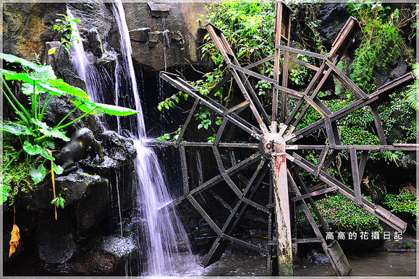 農村公園：【新北】板橋區。板橋農村公園