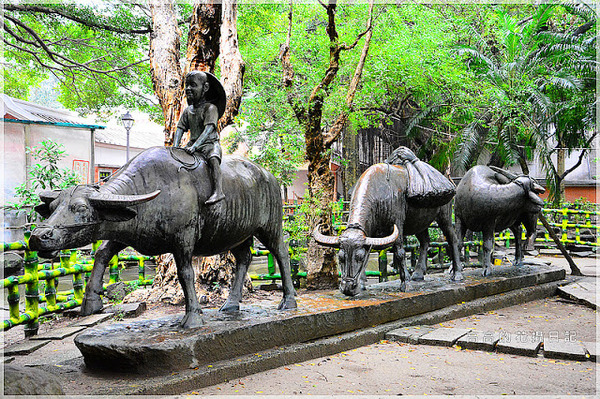 農村公園：【新北】板橋區。板橋農村公園