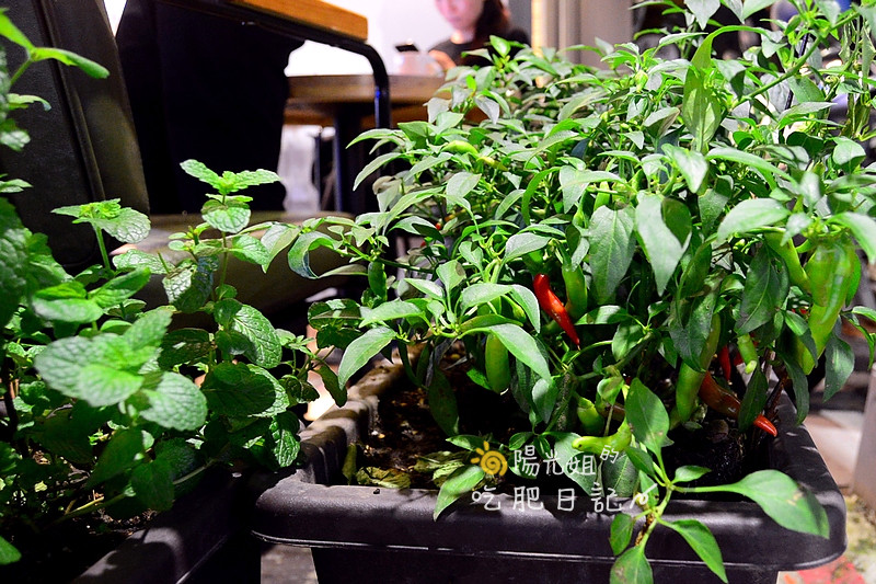 Fanthaisy33.JPG - 小食泰-泰味食堂-泰式料理餐廳