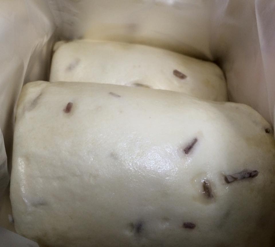 1779902_10204595642872854_1860736660362383451_n