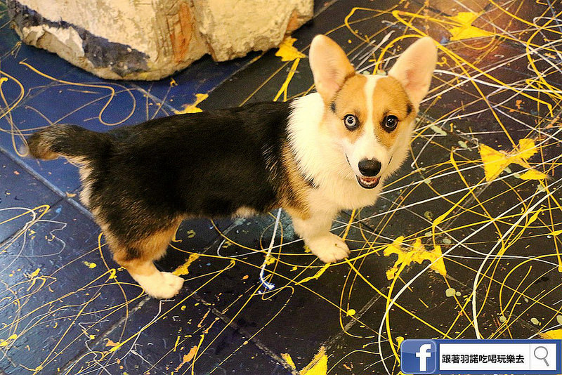 豬寶店異國料理咖啡027