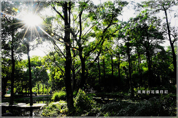大東公園：【高雄】鳳山區。大東公園 生態溼地教育區 （高雄版迷你忘憂森林）