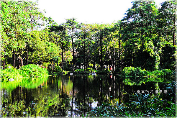 大東公園：【高雄】鳳山區。大東公園 生態溼地教育區 （高雄版迷你忘憂森林）
