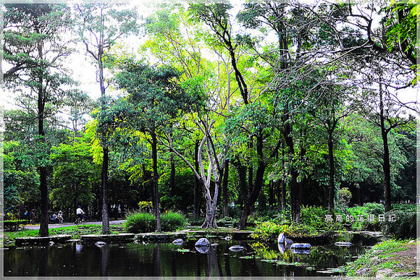大東公園：【高雄】鳳山區。大東公園 生態溼地教育區 （高雄版迷你忘憂森林）
