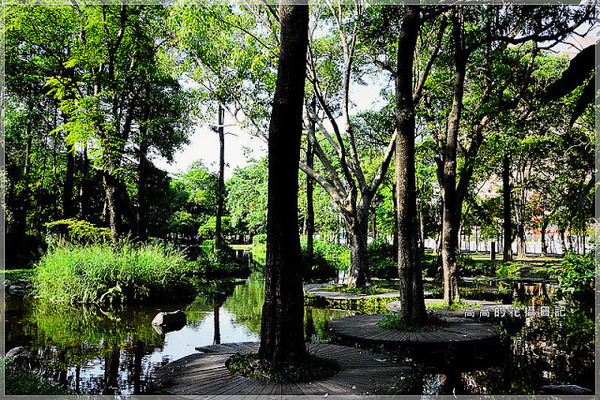 大東公園：【高雄】鳳山區。大東公園 生態溼地教育區 （高雄版迷你忘憂森林）