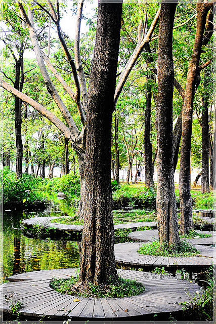 大東公園：【高雄】鳳山區。大東公園 生態溼地教育區 （高雄版迷你忘憂森林）