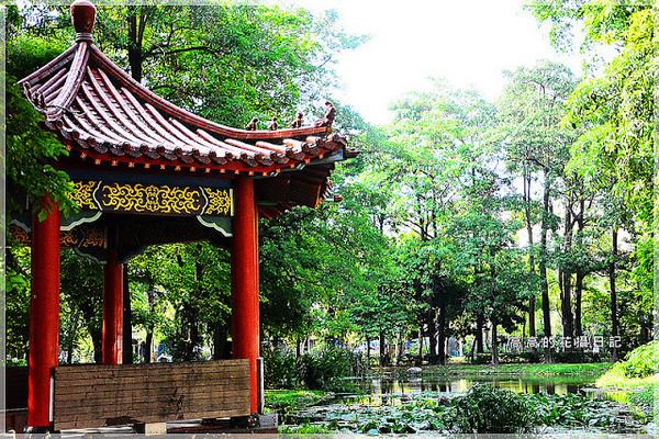 大東公園：【高雄】鳳山區。大東公園 生態溼地教育區 （高雄版迷你忘憂森林）