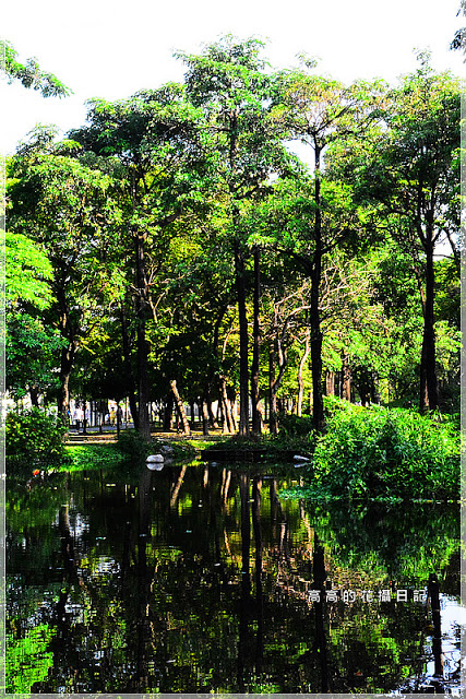 大東公園：【高雄】鳳山區。大東公園 生態溼地教育區 （高雄版迷你忘憂森林）
