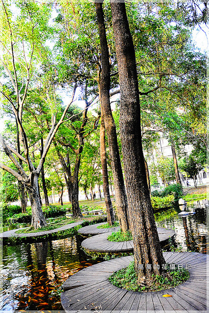 大東公園：【高雄】鳳山區。大東公園 生態溼地教育區 （高雄版迷你忘憂森林）