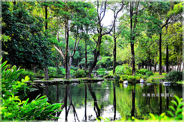 大東公園：【高雄】鳳山區。大東公園 生態溼地教育區 （高雄版迷你忘憂森林）