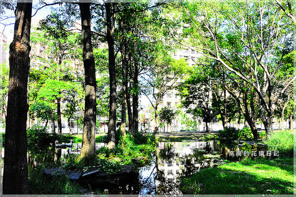 大東公園：【高雄】鳳山區。大東公園 生態溼地教育區 （高雄版迷你忘憂森林）
