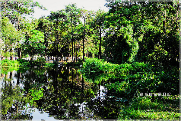大東公園：【高雄】鳳山區。大東公園 生態溼地教育區 （高雄版迷你忘憂森林）