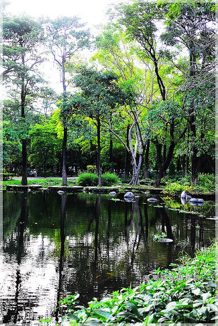 大東公園：【高雄】鳳山區。大東公園 生態溼地教育區 （高雄版迷你忘憂森林）