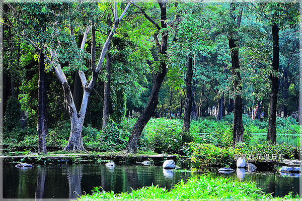 大東公園：【高雄】鳳山區。大東公園 生態溼地教育區 （高雄版迷你忘憂森林）