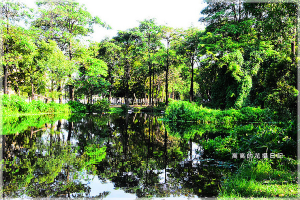 大東公園：【高雄】鳳山區。大東公園 生態溼地教育區 （高雄版迷你忘憂森林）
