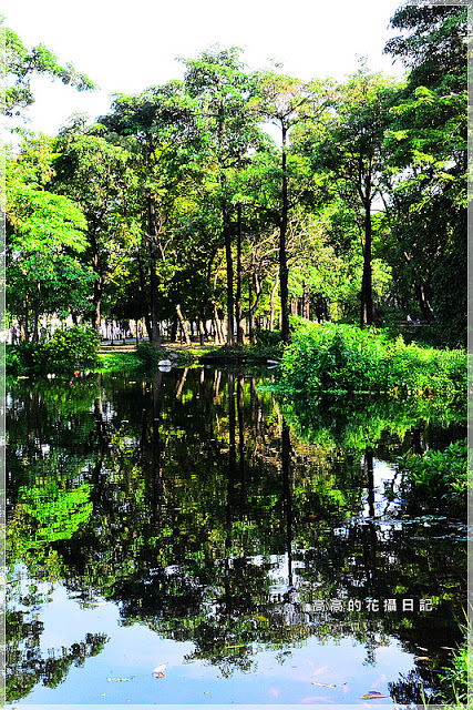 大東公園：【高雄】鳳山區。大東公園 生態溼地教育區 （高雄版迷你忘憂森林）