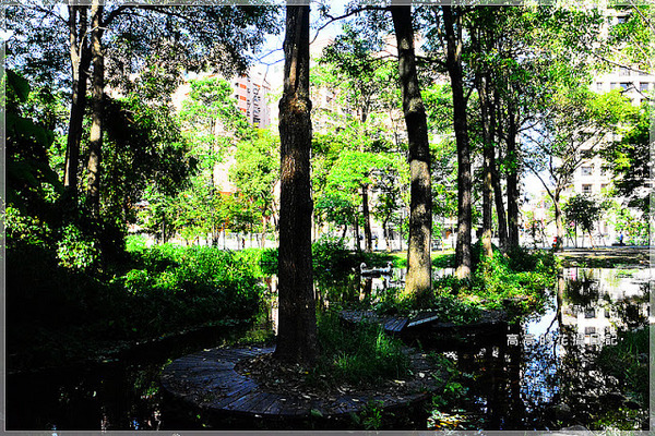 大東公園：【高雄】鳳山區。大東公園 生態溼地教育區 （高雄版迷你忘憂森林）