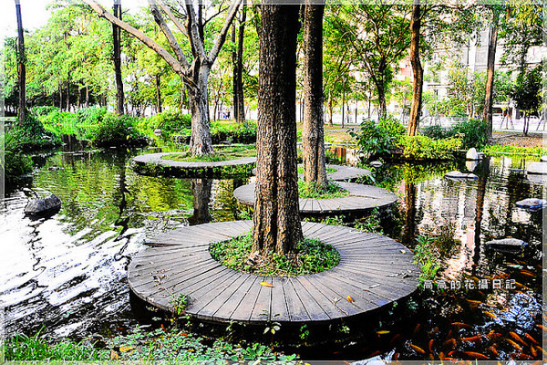 大東公園：【高雄】鳳山區。大東公園 生態溼地教育區 （高雄版迷你忘憂森林）
