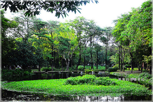 大東公園：【高雄】鳳山區。大東公園 生態溼地教育區 （高雄版迷你忘憂森林）