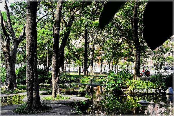 大東公園：【高雄】鳳山區。大東公園 生態溼地教育區 （高雄版迷你忘憂森林）