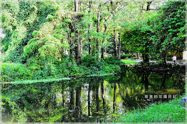 大東公園：【高雄】鳳山區。大東公園 生態溼地教育區 （高雄版迷你忘憂森林）
