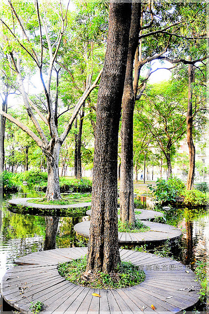大東公園：【高雄】鳳山區。大東公園 生態溼地教育區 （高雄版迷你忘憂森林）