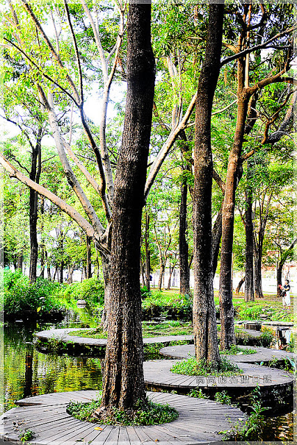 大東公園：【高雄】鳳山區。大東公園 生態溼地教育區 （高雄版迷你忘憂森林）