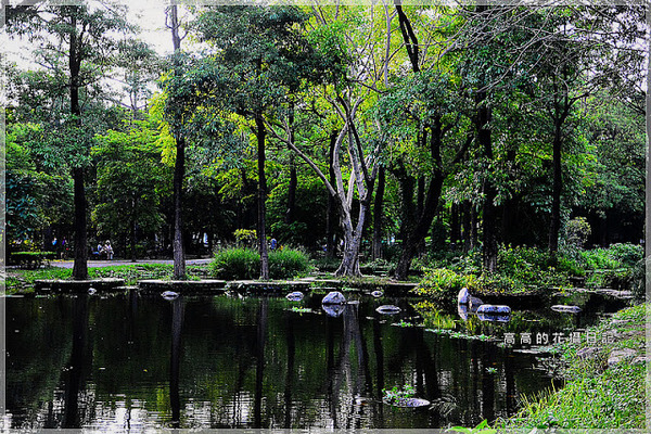 大東公園：【高雄】鳳山區。大東公園 生態溼地教育區 （高雄版迷你忘憂森林）