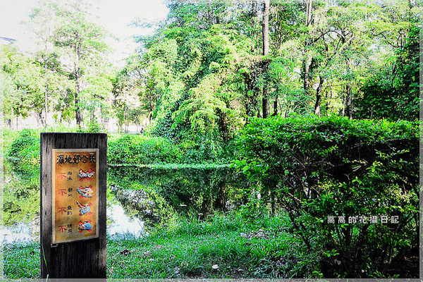 大東公園：【高雄】鳳山區。大東公園 生態溼地教育區 （高雄版迷你忘憂森林）