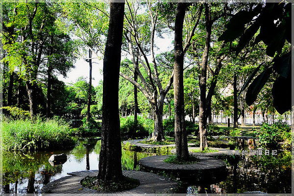 大東公園：【高雄】鳳山區。大東公園 生態溼地教育區 （高雄版迷你忘憂森林）