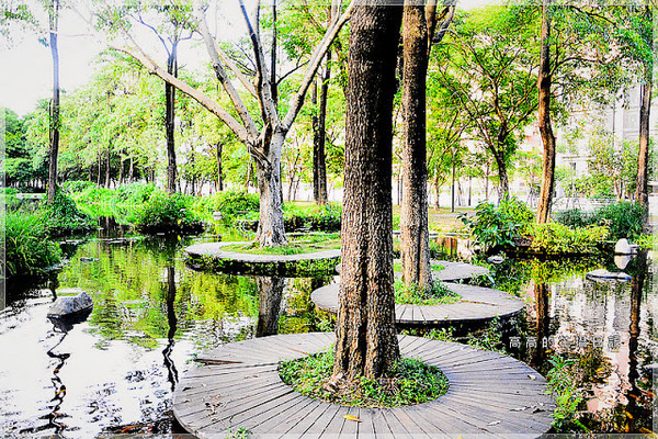 大東公園：【高雄】鳳山區。大東公園 生態溼地教育區 （高雄版迷你忘憂森林）