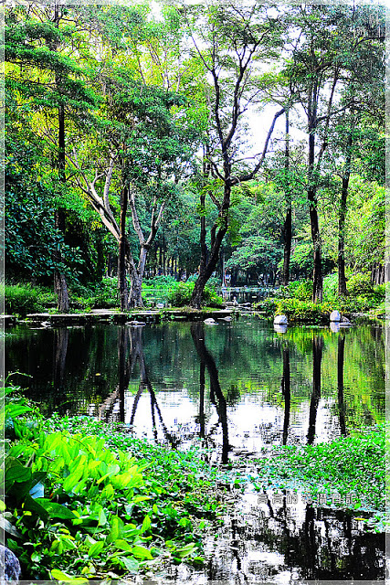 大東公園：【高雄】鳳山區。大東公園 生態溼地教育區 （高雄版迷你忘憂森林）