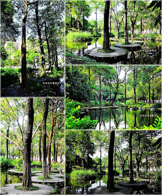 大東公園：【高雄】鳳山區。大東公園 生態溼地教育區 （高雄版迷你忘憂森林）