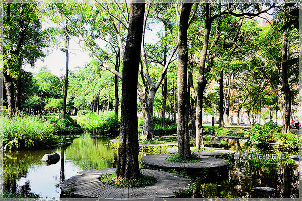 大東公園：【高雄】鳳山區。大東公園 生態溼地教育區 （高雄版迷你忘憂森林）
