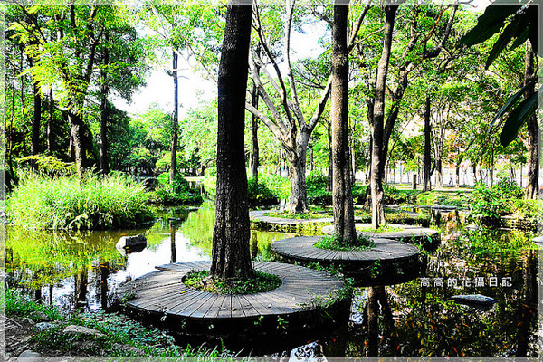 大東公園：【高雄】鳳山區。大東公園 生態溼地教育區 （高雄版迷你忘憂森林）
